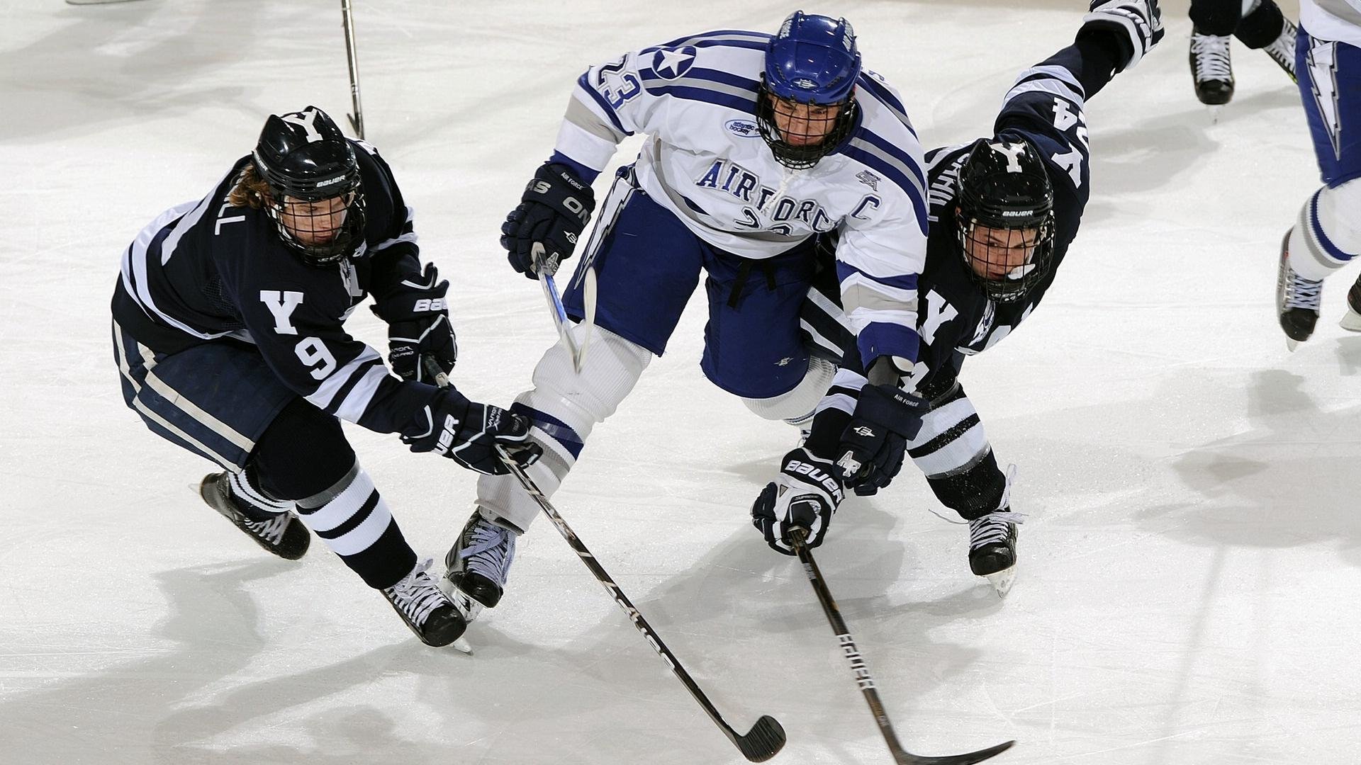 澳大利亚队观众热烈欢呼！西亚卡姆迎来五赛季出色发挥热度持续攀升