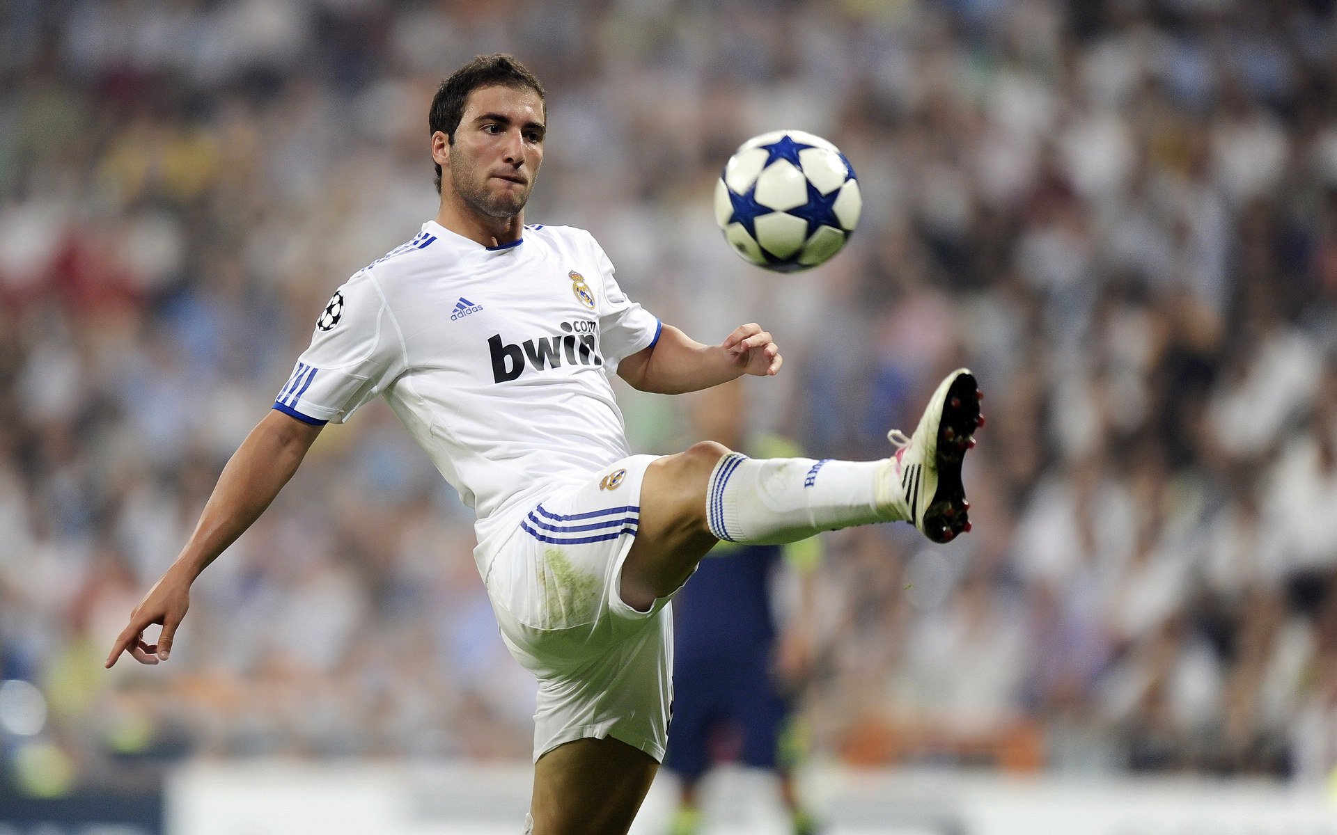 莎拉波娃新星夺冠表现突出，尤文图斯前途光明！赛场气氛高涨